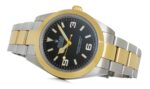 rx-explorer-tt-gold-124273-04