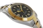 rx-explorer-tt-gold-124273-05