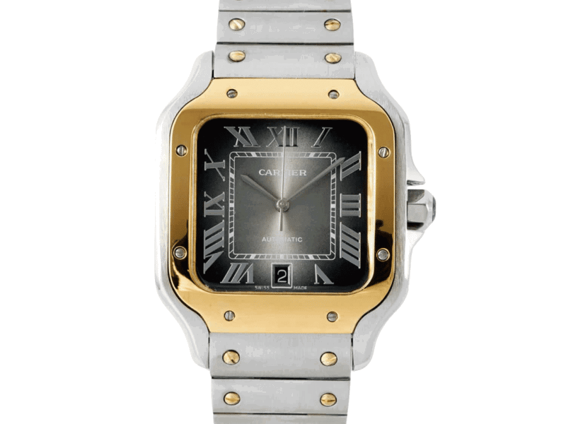 cartier-santos-tt-grey-large-w2sa0030-07_tn