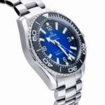 Omega Seamaster Planet Ocean 6000M 45mm 215.30.46.21.03.001 Replica